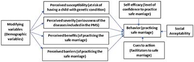 Health beliefs of unmarried adult Saudi individuals toward safe marriage and the role of premarital screening in avoiding consanguinity: a nationwide cross-sectional study